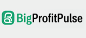 BigProfitPulse Logo