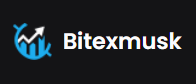 Bitexmusk logo
