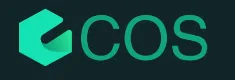 Cosetek Logo
