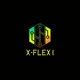 Xflexi Logo