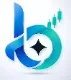 Boryra Logo