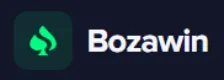 Bozawin Logo